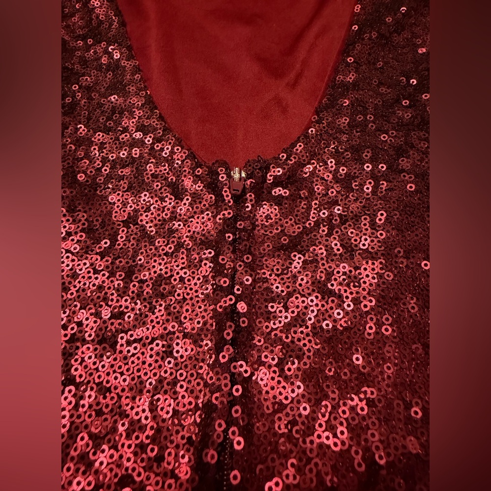 Honey and Rosie Wine Sequin Fit & Flare Dress Size S | Shown on M Model - Picture 9 of 9